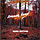 Karl Ritter: Traumland